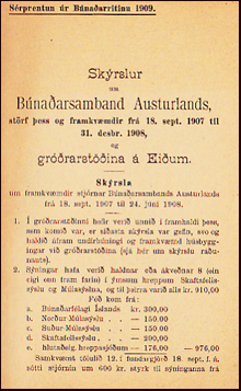 Skrslur um Bnaarsamband Austurlands strf ess og framkvmdir fr 18.sept. 1907 til 31.desbr. 1908 # 21909