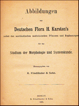 Abbildungen zur Deutschen Flora H. Karsteins # 21928