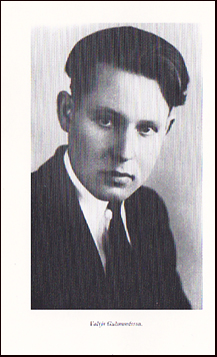 Vinjar. Lj eftir Valt Gumundsson fr Sandi # 22459