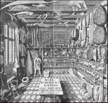 Latinerkvarteret # 22973