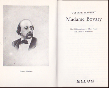 Madame Bovary # 38133