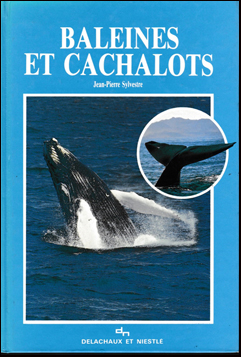 Baleines et cachalots # 40347