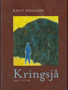 Kringsja # 43542