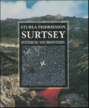 Surtsey. Entstehung von kosystemen # 43571