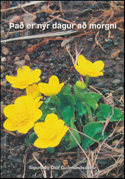 �a� er n�r dagur a� morgni # 49924