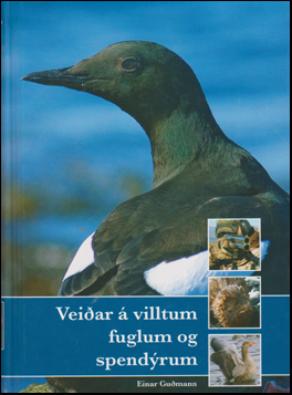Veiar  villtum fuglum og spendrum # 51813
