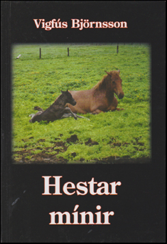 Hestar mnir # 51991