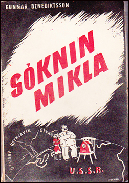 Sknin mikla # 54458