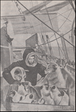 Sleafer um Grnlandsjkla # 56287