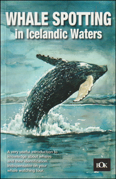 Whale spotting in Icelandic waters # 84541