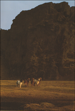 Landskap. Bilder frn Island # 64916