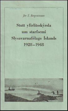 Stutt yfirlitsskrsla um starfsemi # 67623