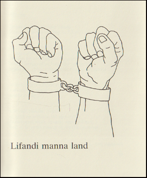 Ljasafn orsteins fr Hamri # 88241