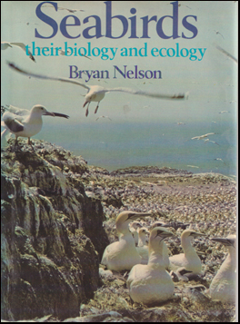 Seabirds # 74354
