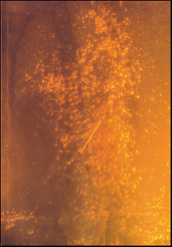 Lengist  taumnum # 75607