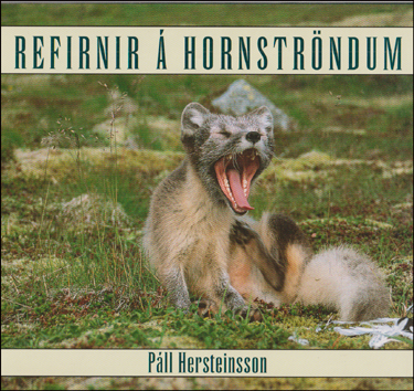 Refirnir  Hornstrndum # 78111