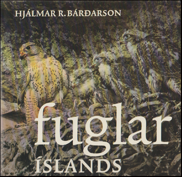 Fuglar slands  mli og myndum # 78809