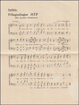 Flagssngur HP # 85299