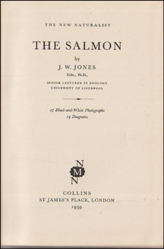 The Salmon # 87093
