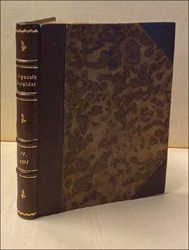 Sgusafn safoldar IV (1891). slenzkar sgur # 88177