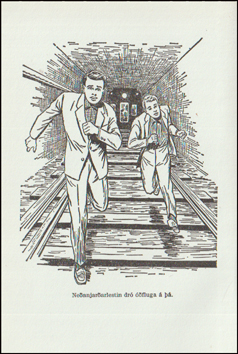 Frank og Ji. vintri um mintti # 88285