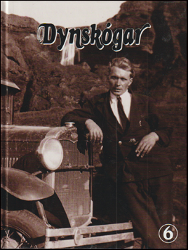 Dynskgar nr. 6 # 88384