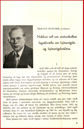 Nokkur or um endurskoun lagakva um hjnavglsu og hjnavgslutlma # 7802