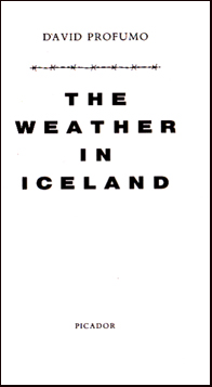 The weather in Iceland # 20437