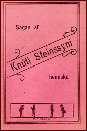 Knúts saga Steinssonar heimska # 10267