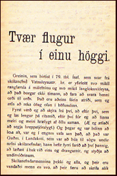 Tvr flugur  einu hggi # 15513