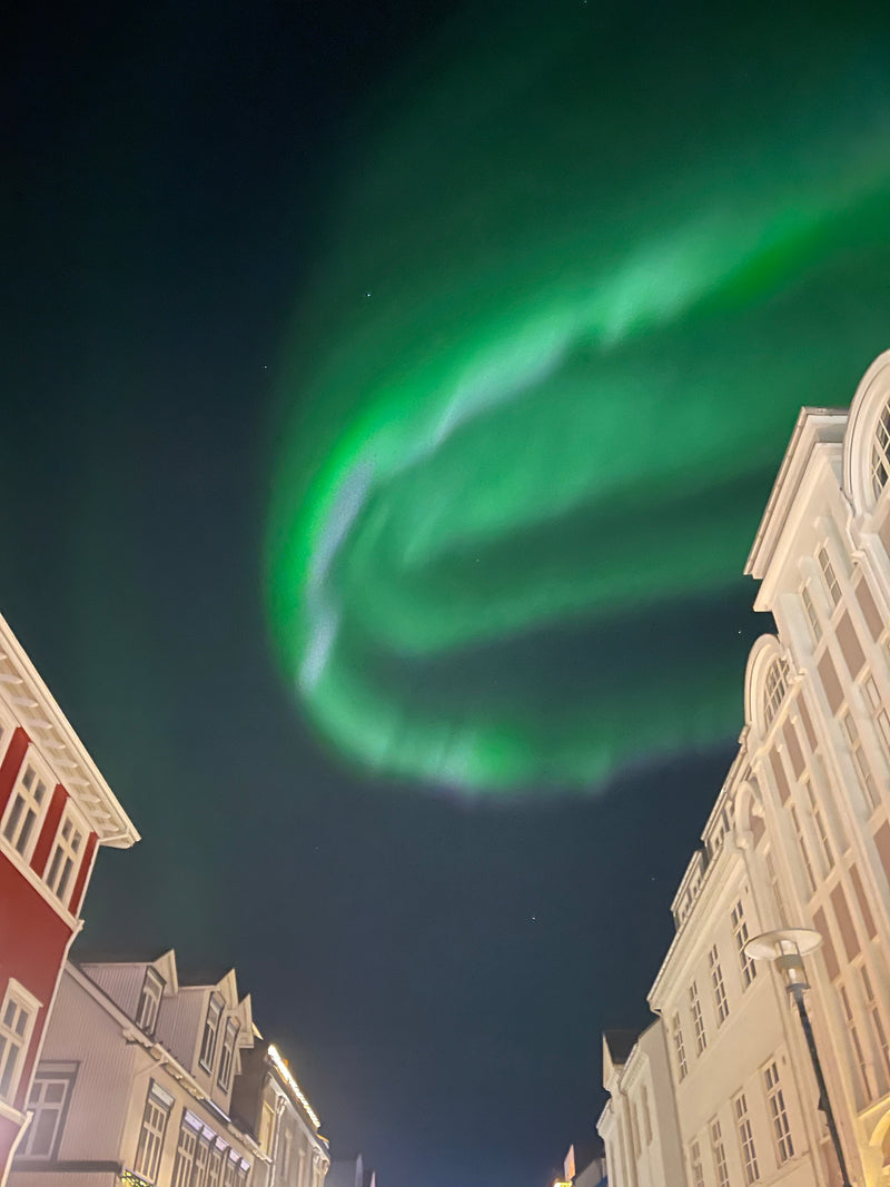 A Little Light for Dark Days