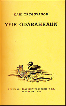 Yfir Ódáðahraun # 20456