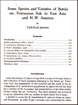 Some Species and Varieties of Betula # 21858