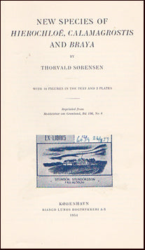 New species of Hierochloë Calamagrostis and Braya # 21861