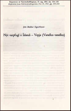 Nýr varpfugl á Íslandi- Vepja # 21892