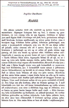 Ætifífill # 21912