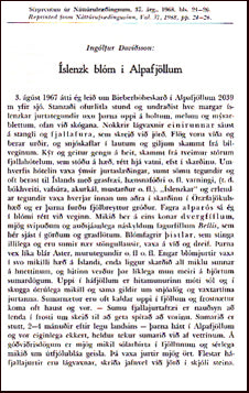 Íslenzk blóm í Alpafjöllum # 21916