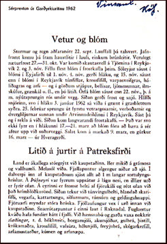 Vetur og blóm # 21919