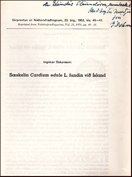 Sæskelin Cardium edule L. fundin við Ísland # 21925