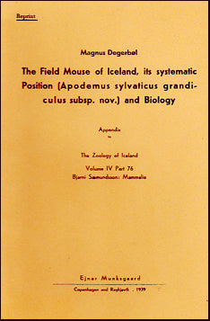 The field mouse of Iceland # 21926