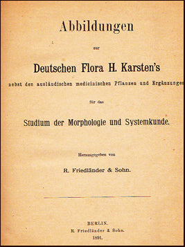 Abbildungen zur Deutschen Flora H. Karstein´s # 21928