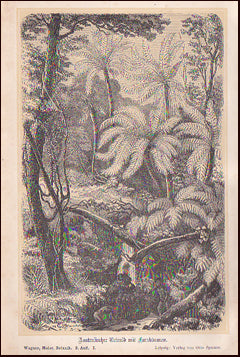 Malerische Botanik # 22903