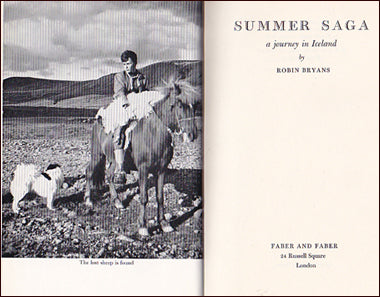 Summer saga # 23149