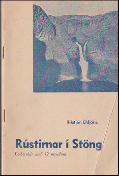 Rústirnar í Stöng # 25017
