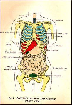 The Ships Captain´s Medical Guide 1952 # 30604