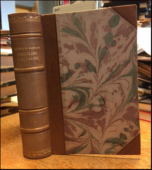 Þorsteinn á Skipalóni # 36207