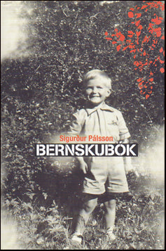 Bernskubók # 84238