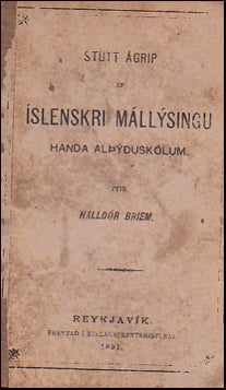 Stutt ágrip af Íslenskri mállýsingu # 38314