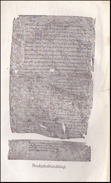 Íslenzk tunga í fornöld # 38527