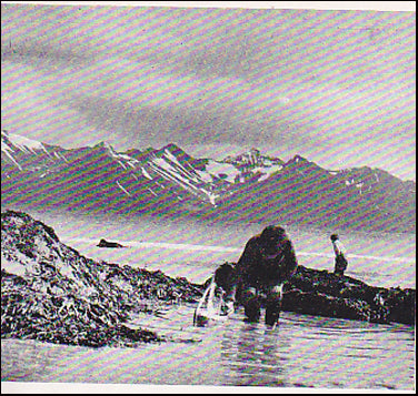 Barðstrendingabók # 39686